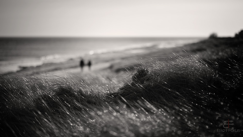 Falsterbo